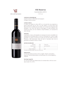 Viña San Esteban wines reflect the intensity and purity of the