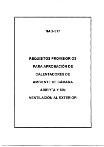 NAG-317 REQUISITOS PROVISIORIOS PARA APROBACIÓN DE