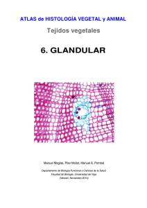 6.- Glandulares - Atlas de Histología Vegetal y Animal