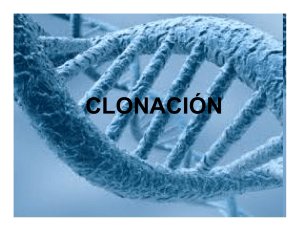 clonación - Aula Virtual FCEQyN