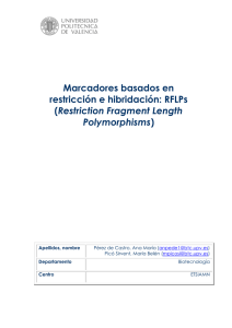 Marcadores basados en restricción e hibridación: RFLPs