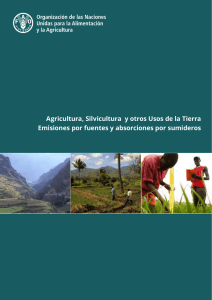 Agricultura, Silvicultura y otros Usos de la Tierra Emisiones por