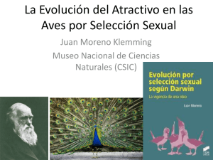 La evolución del atractivo en las aves por Selección Sexual