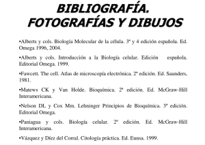 BIBLIOGRAFÍA. FOTOGRAFÍAS Y DIBUJOS