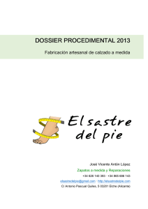 dossier procedimental 2013 dossier