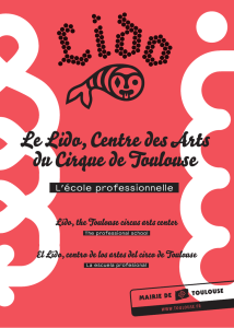 Le Lido, Centre des Arts du Cirque de Toulouse