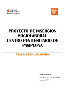 Proyecto De insercióN Sociolaboral Centro Penitenciario De