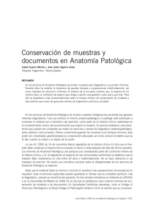 Conservación de muestras y documentos en Anatomía Patológica