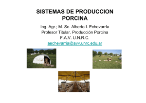sistemas de produccion porcina
