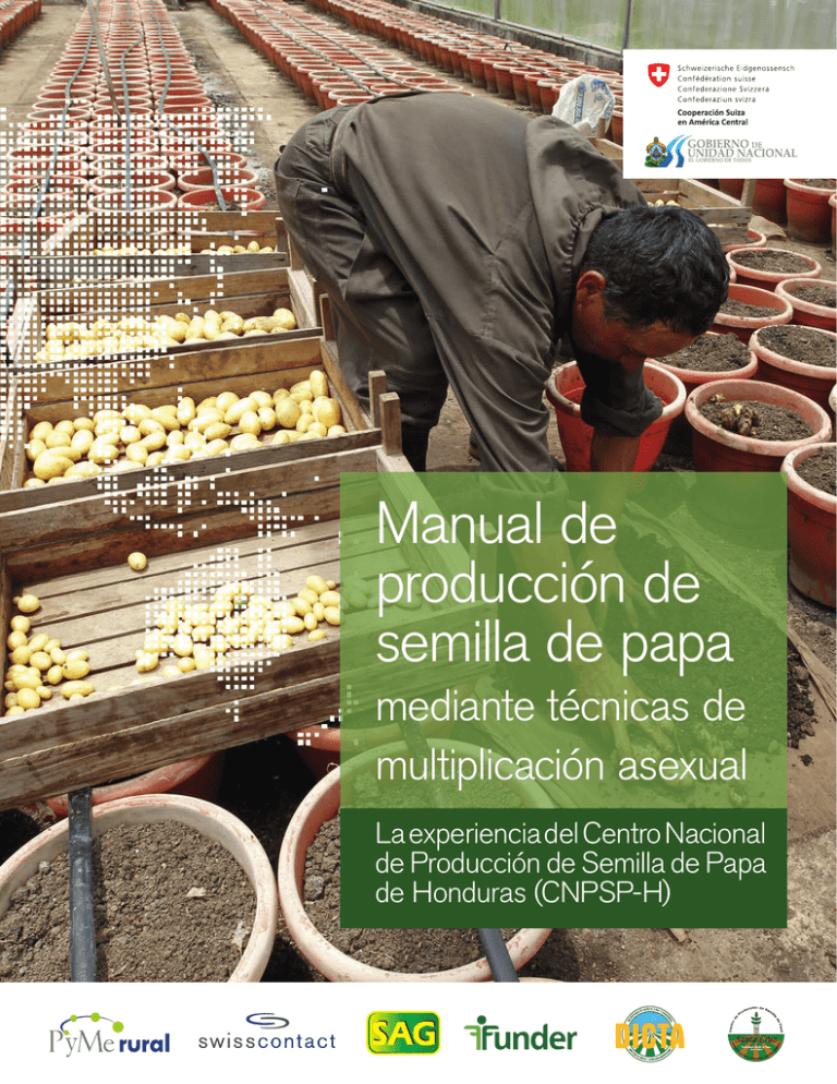 Manual De Producci N De Semilla De Papa Mediante T Cnicas De