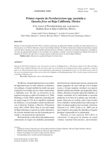Primer reporte de Pectobacterium spp. asociada a Opuntia ficus en