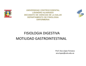 motilidad gastrointestinal fisiologia digestiva
