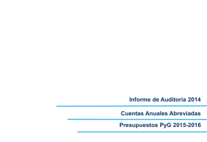 Informe de Auditoría 2014 Cuentas Anuales