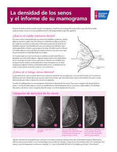La densidad de los senos y el informe de su mamograma