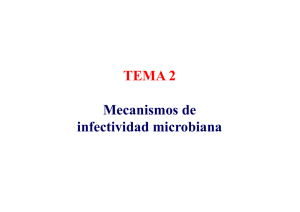 Mecanismos de infectividad microbiana