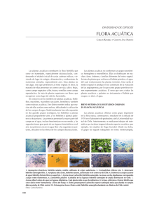 Flora Acuática - Ministerio del Medio Ambiente