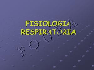 FISIOLOGIA RESPIRATORIA