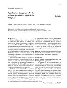 Patologías benignas de la próstata: prostatitis e