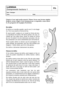 Comprensió lectora: els dofins