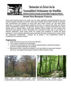 Areas Para Bosques Futuros - Athens