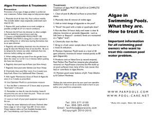 Algae in Swimming Pools. What they are. How to treat it. Important