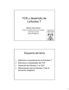 TCR y desarrollo de Linfocitos T
