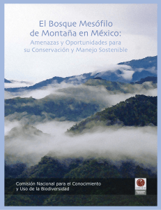 El Bosque Mesófilo de Montaña en México
