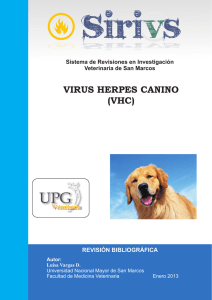 Virus Herpes canino (VHC) - Facultad de Medicina Veterinaria