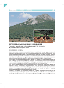 Ficha descriptiva de las Sierras de Almadén
