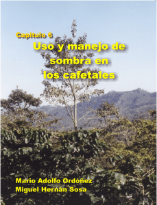 Capitulo 6 - Instituto Hondureño del Café