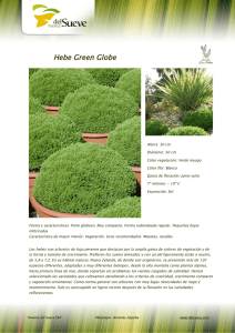 Hebe Green Globe[1].