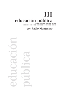 3. Educación Pública, por Pablo Montesino