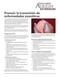 Prevenir la transmisión de enfermedades zoonóticas