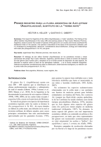 187 H. A. Keller y G. C. Giberti - Ilex affinis en Argentina