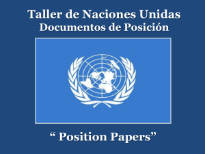 Taller de Naciones Unidas “ Position Papers”