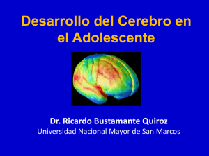 Desarrollo del Cerebro en el Adolescente
