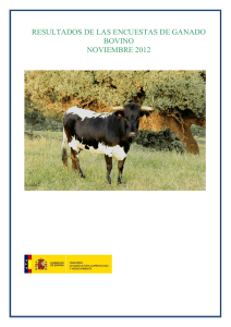 Informe Bovino 2012 - Ministerio de Agricultura, Alimentación y