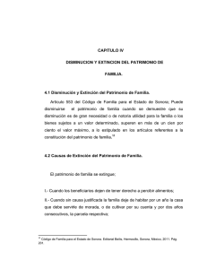 CAPITULO IV DISMINUCION Y EXTINCION DEL PATRIMONIO DE