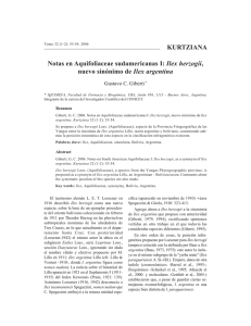 KURTZIANA Notas en Aquifoliaceae sudamericanas I: Ilex herzogii