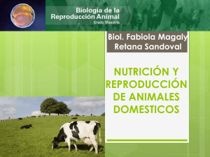 NUTRICIÓN Y REPRODUCCIÓN DE ANIMALES DOMESTICOS