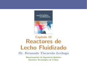 Reactores de Lecho Fluidizado - Instituto Tecnológico de Celaya