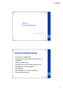 Genero Streptococcus