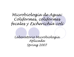 Microbiología de Agua: Coliformes, coliformes fecales y Escherichia