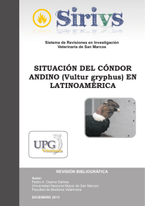Situación del cóndor andino (Vultur gryphus) en latinoamérica