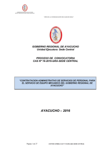 CAS Nº 019 - Gobierno Regional de Ayacucho