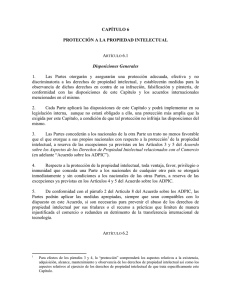 CAPÍTULO 6 PROTECCIÓN A LA PROPIEDAD INTELECTUAL