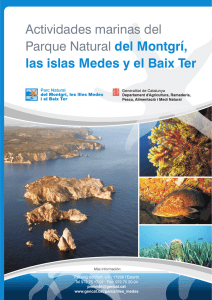 Actividades marinas del Parque Natural del las islas Medes y el