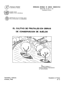El cultivo de frutales en obras de conservación de suelos.