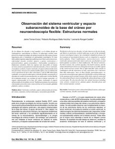 Observación del sistema ventricular y espacios ubaracnoideo de la