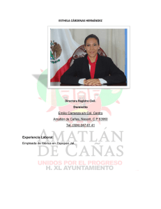 curriculum - Municipio de Amatlán de Cañas Nayarit
